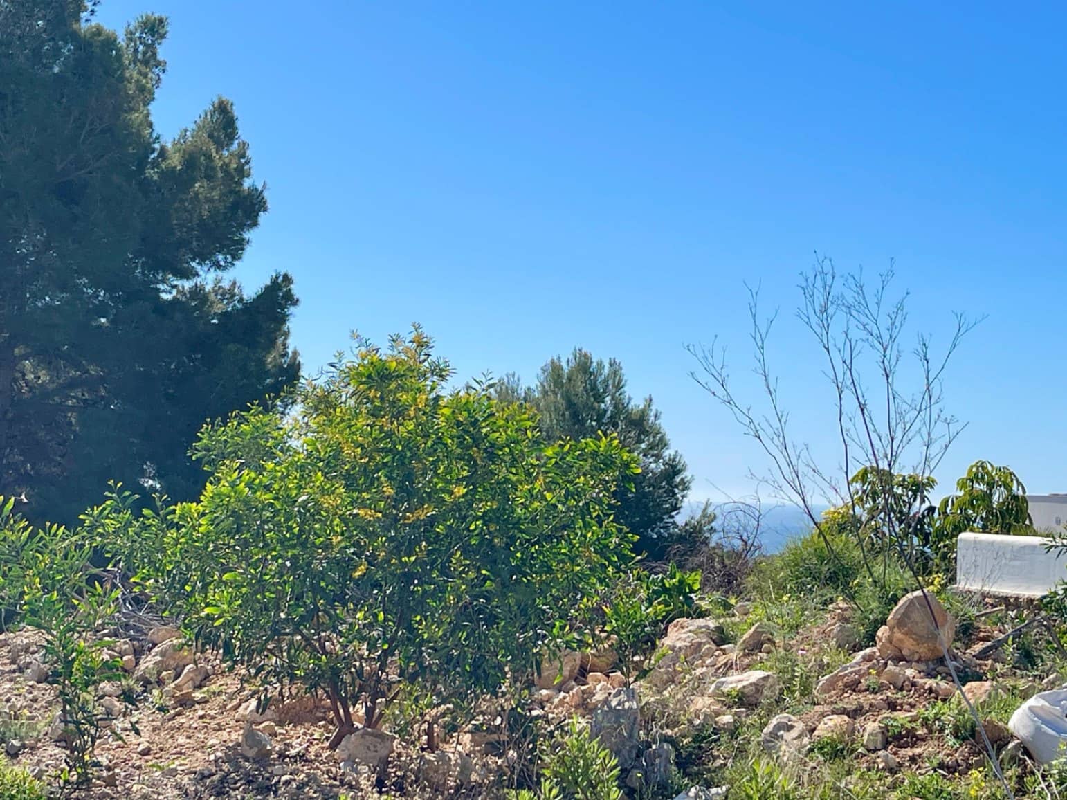 Byggegrund til salg i Teulada - € 480.000 (Ref: 9707762)