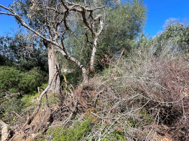 Solar/Parcela en Javea / Xàbia en venta - 189.000 € (Ref: 9723877)