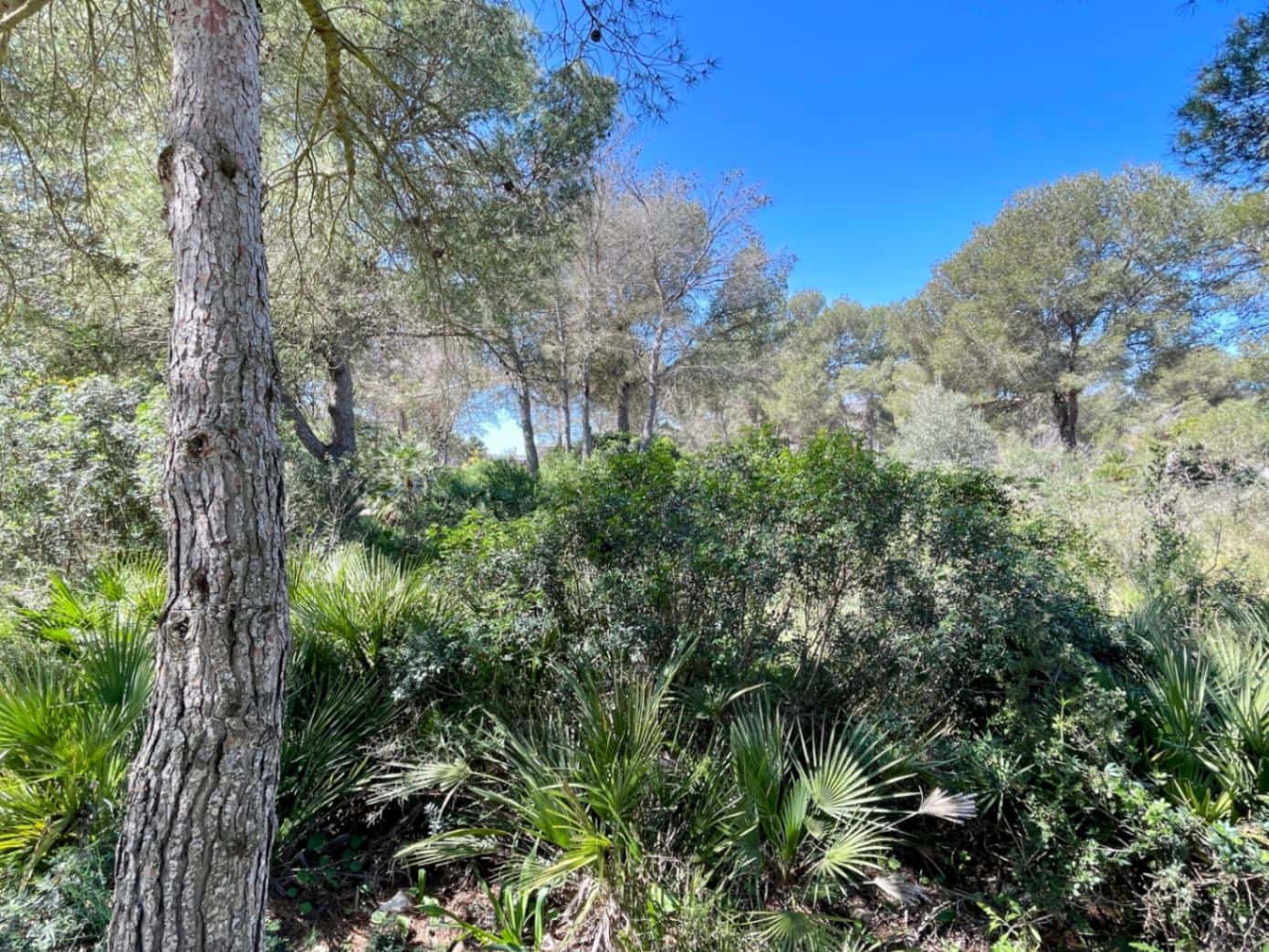 Bauplatz zu verkaufen in Javea / Xabia - 350.000 € (Ref: 9723879)