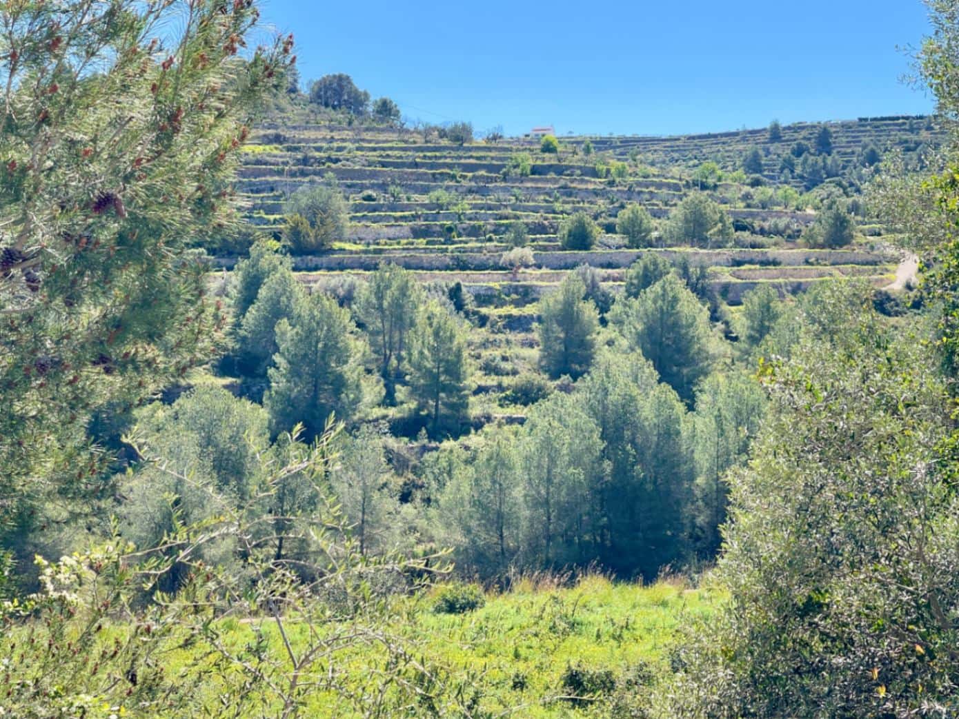 Building Plot for sale in Benissa - € 150,000 (Ref: 9776943)