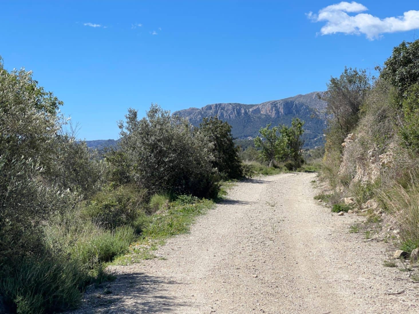 Building Plot for sale in Benissa - € 150,000 (Ref: 9776943)