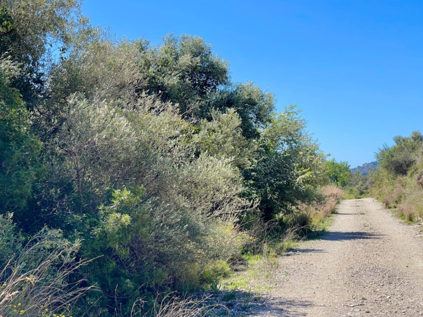 Building Plot for sale in Benissa - € 150,000 (Ref: 9776943)