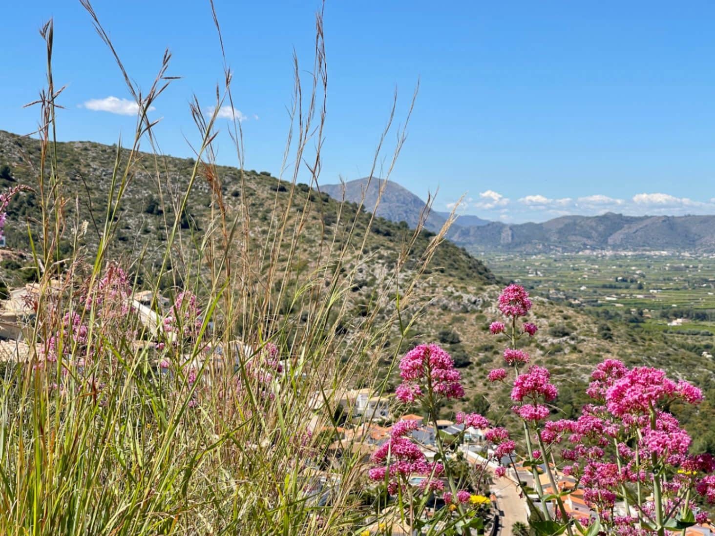 Building Plot for sale in Pedreguer - € 135,000 (Ref: 9781408)