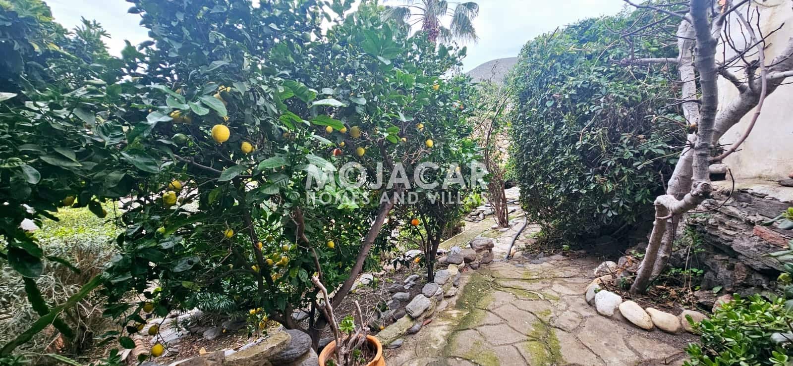 4 bedroom Villa for sale in Sopalmo with pool garage - € 349,950 (Ref: 9592137)