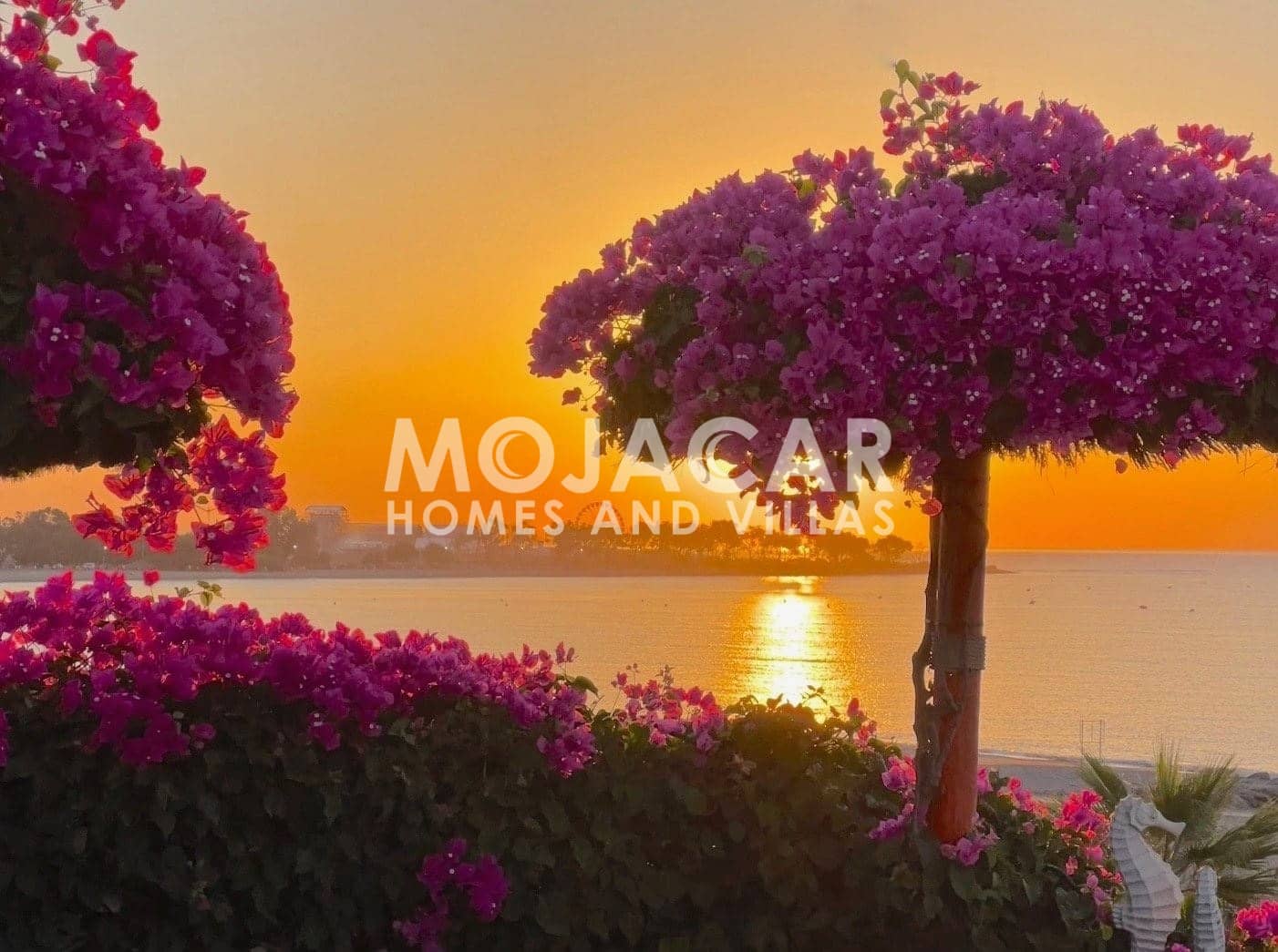 3 slaapkamer Villa te koop in Vera met zwembad garage - € 1.095.000 (Ref: 9606493)