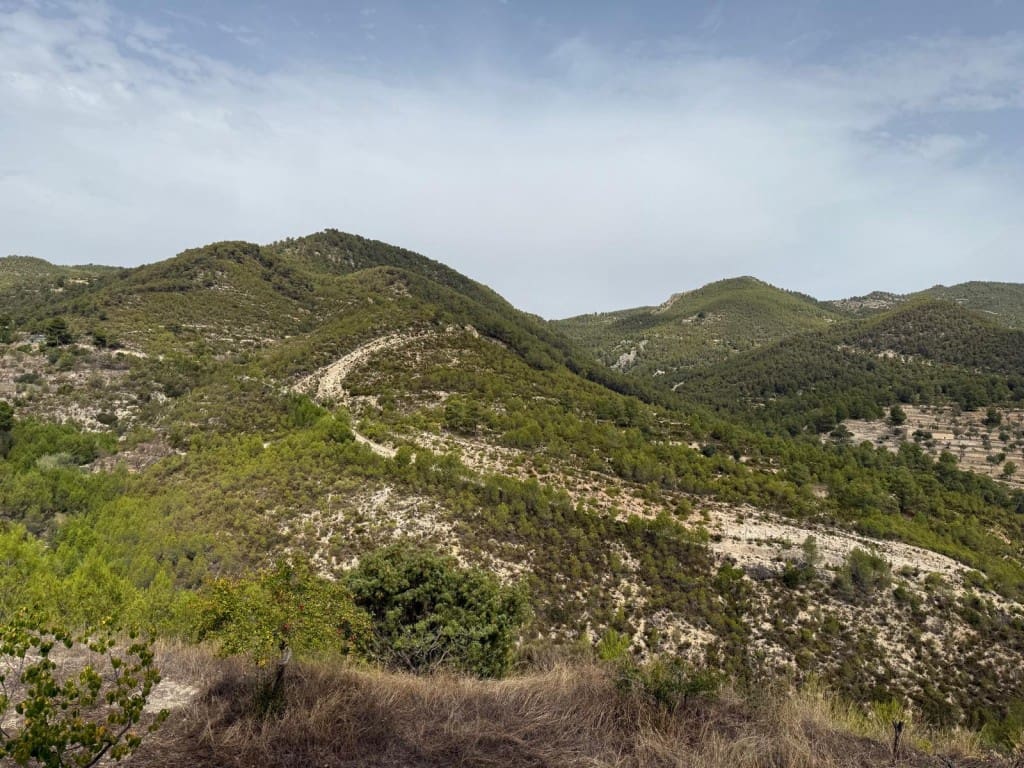 2 soverom Finca/Herregård til salgs i Torremanzanas - € 220 000 (Ref: 9235501)