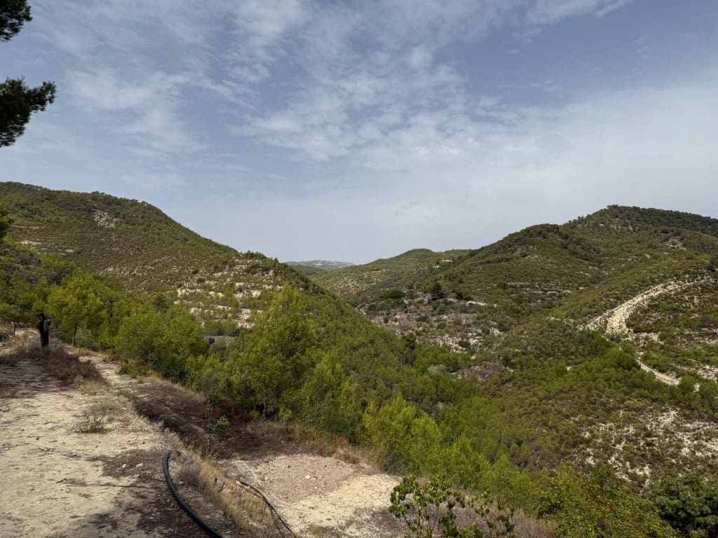 2 soverom Finca/Herregård til salgs i Torremanzanas - € 220 000 (Ref: 9235501)