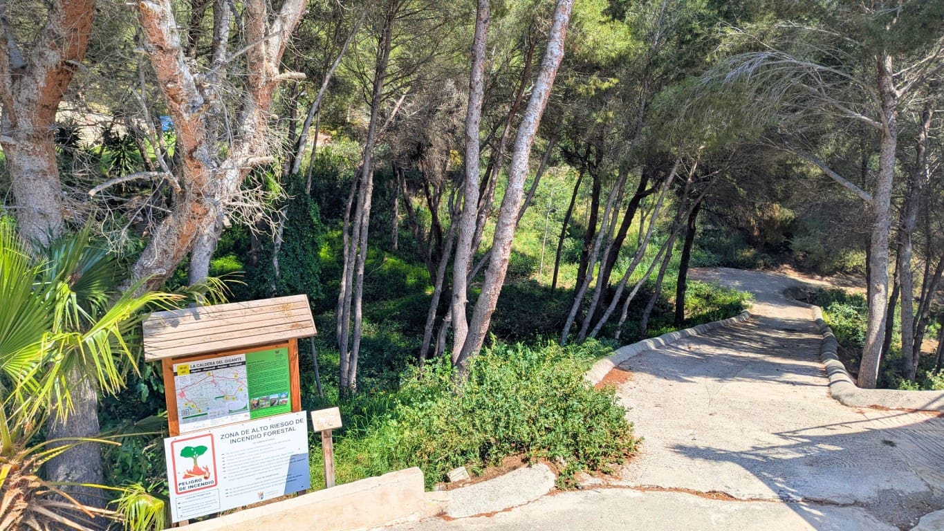 2 quarto Penthouse para venda em Algorfa com piscina - 139 995 € (Ref: 9816562)