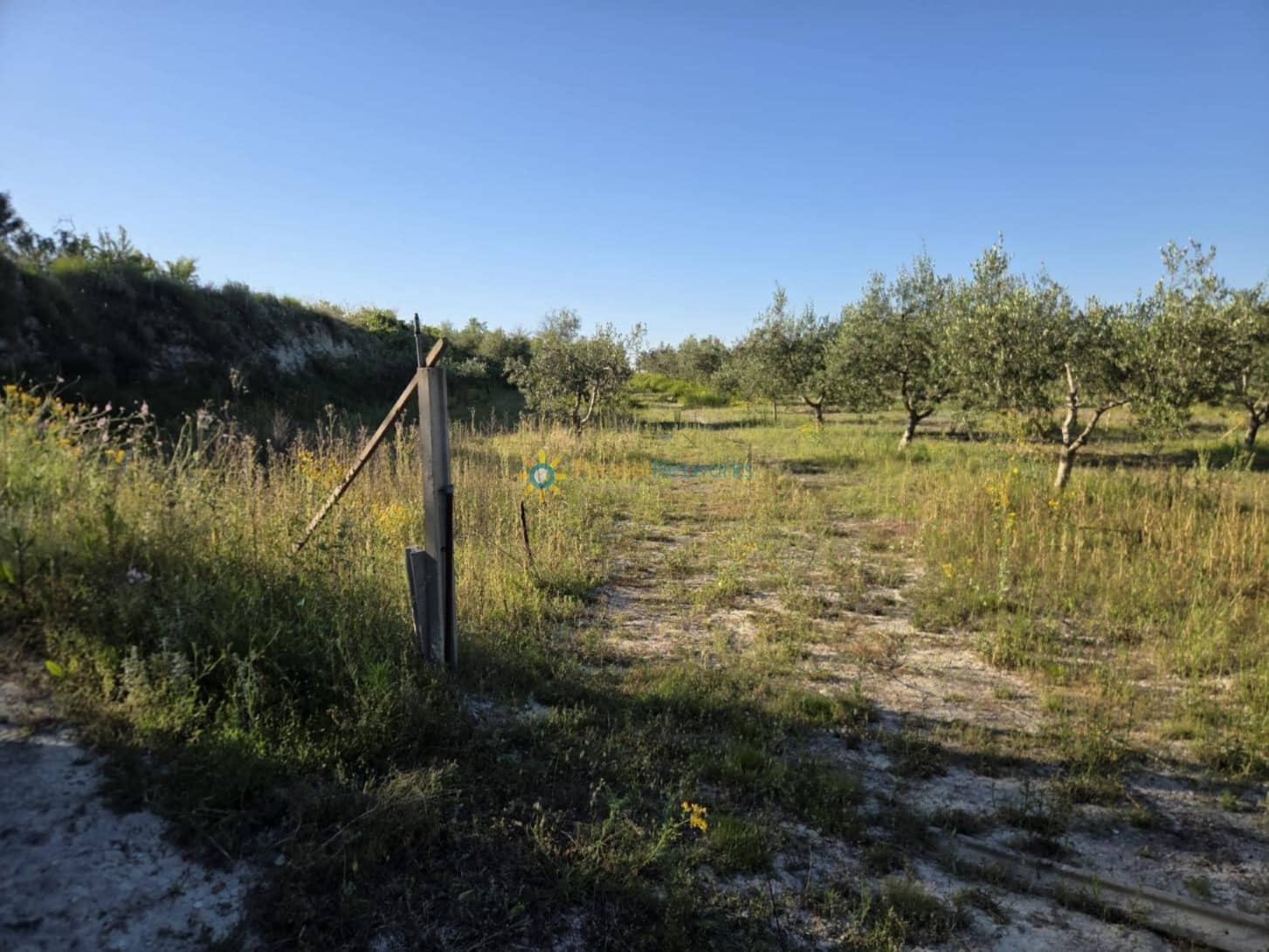 Building Plot for sale in Belgida - € 42,000 (Ref: 10000880)