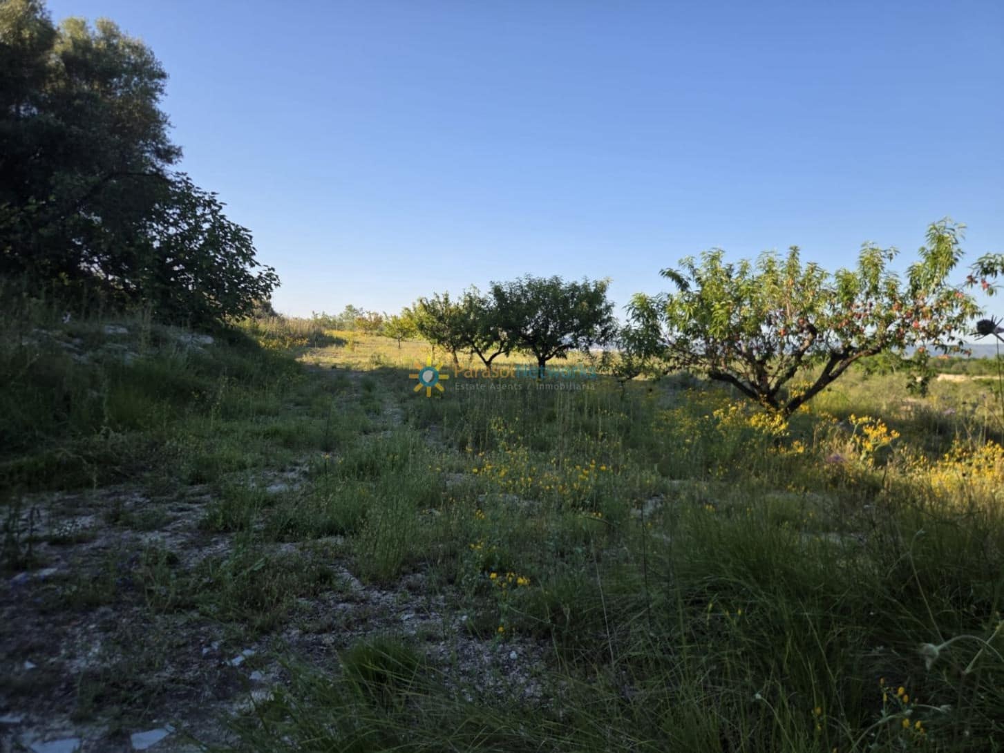 Building Plot for sale in Belgida - € 42,000 (Ref: 10000880)