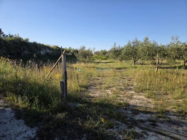 Building Plot for sale in Bèlgida - € 42,000 (Ref: 10000880)
