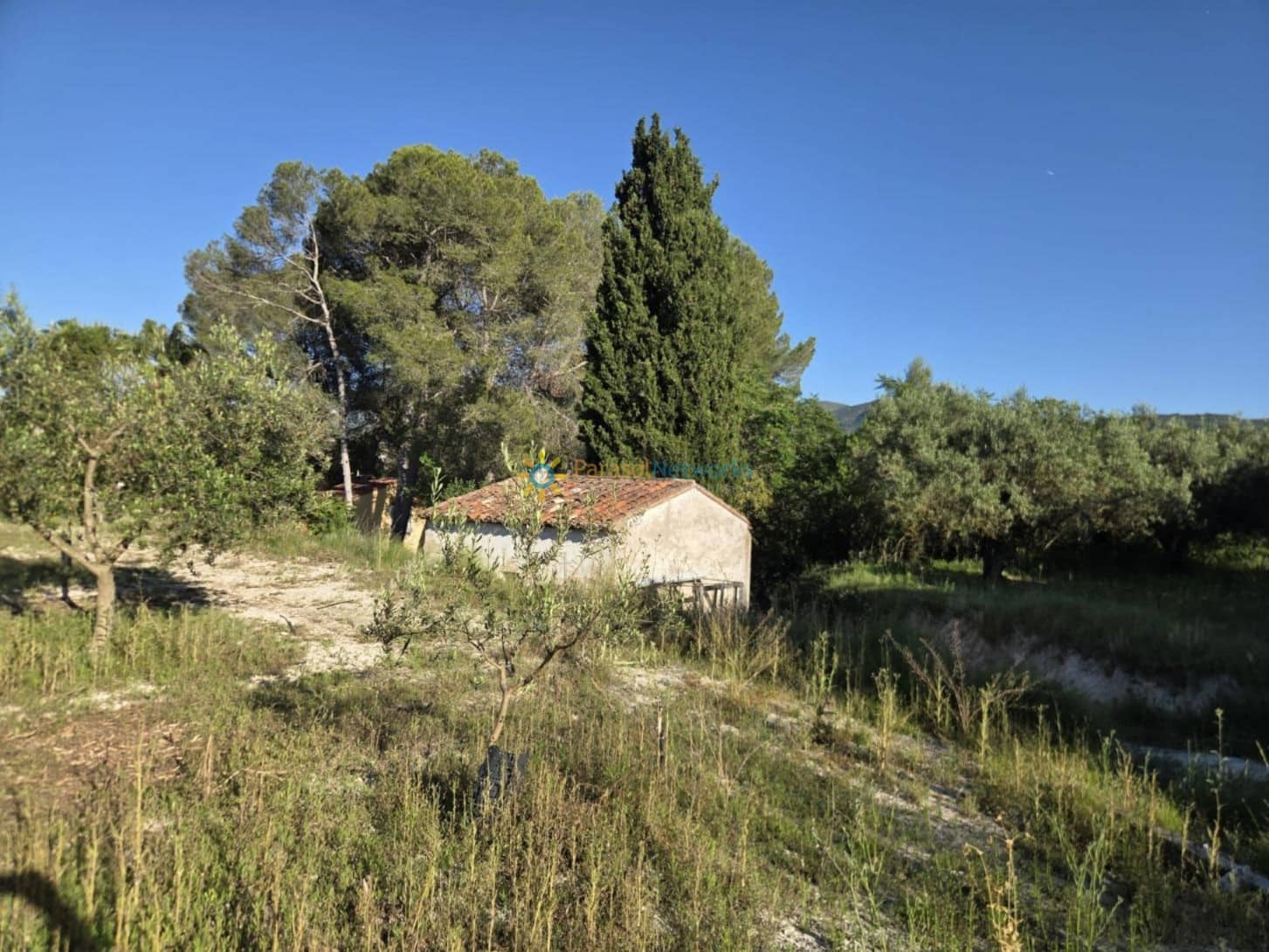 Building Plot for sale in Belgida - € 42,000 (Ref: 10000880)