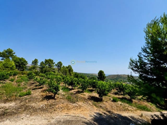 Landgrundstück zu verkaufen in Sellent - 65.000 € (Ref: 10002427)