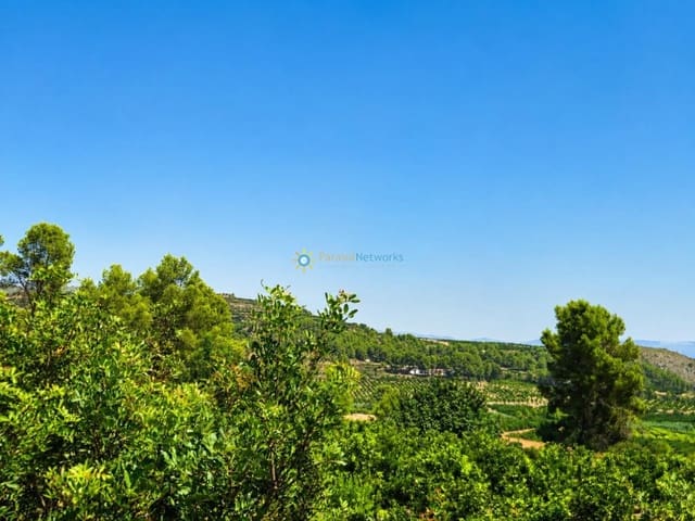 Landgrundstück zu verkaufen in Sellent - 65.000 € (Ref: 10002427)