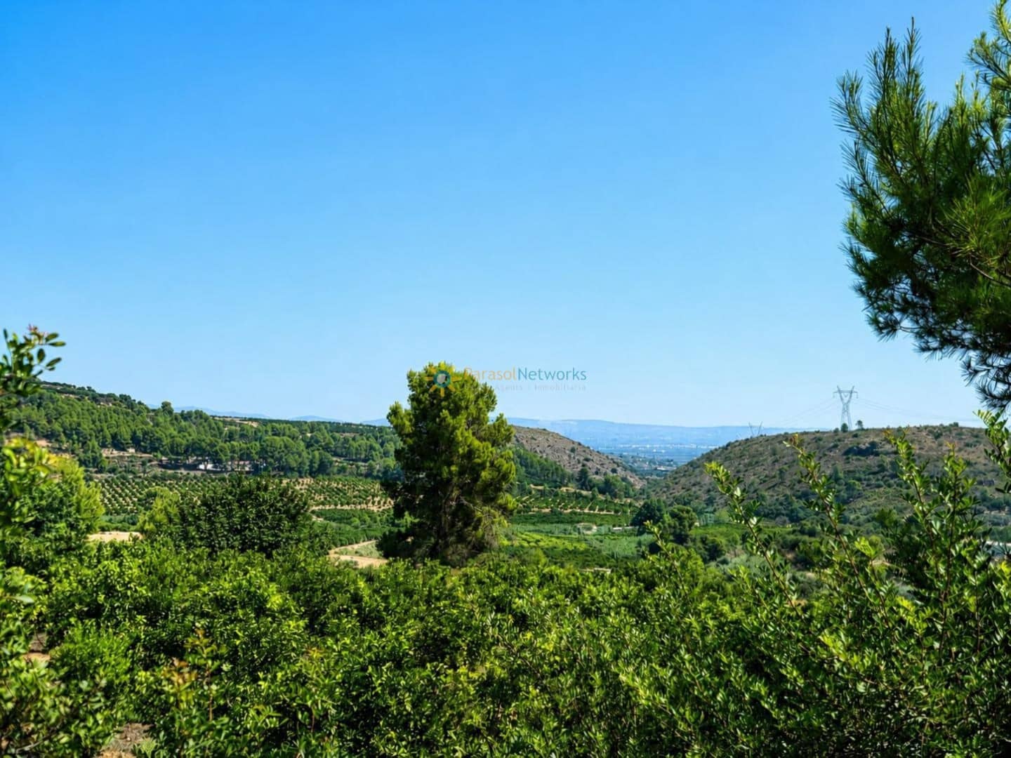 Landgrundstück zu verkaufen in Sellent - 65.000 € (Ref: 10002427)