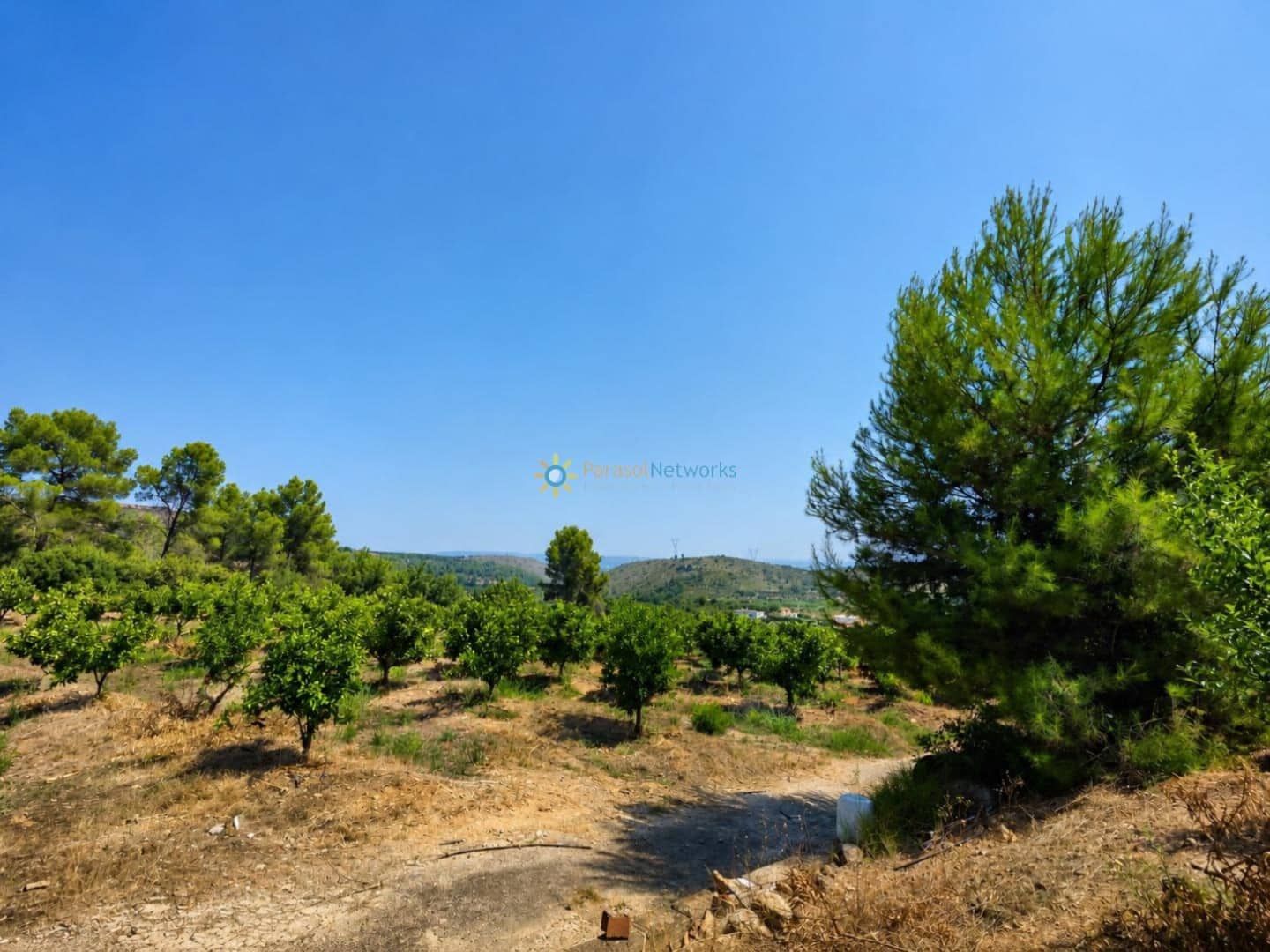 Landgrundstück zu verkaufen in Sellent - 65.000 € (Ref: 10002427)