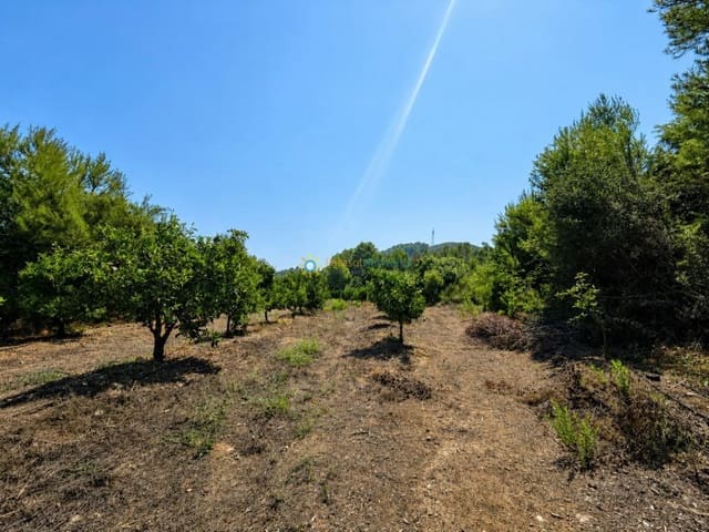 Landgrundstück zu verkaufen in Sellent - 65.000 € (Ref: 10002427)