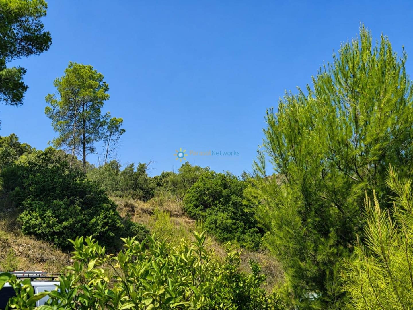 Landgrundstück zu verkaufen in Sellent - 65.000 € (Ref: 10002427)