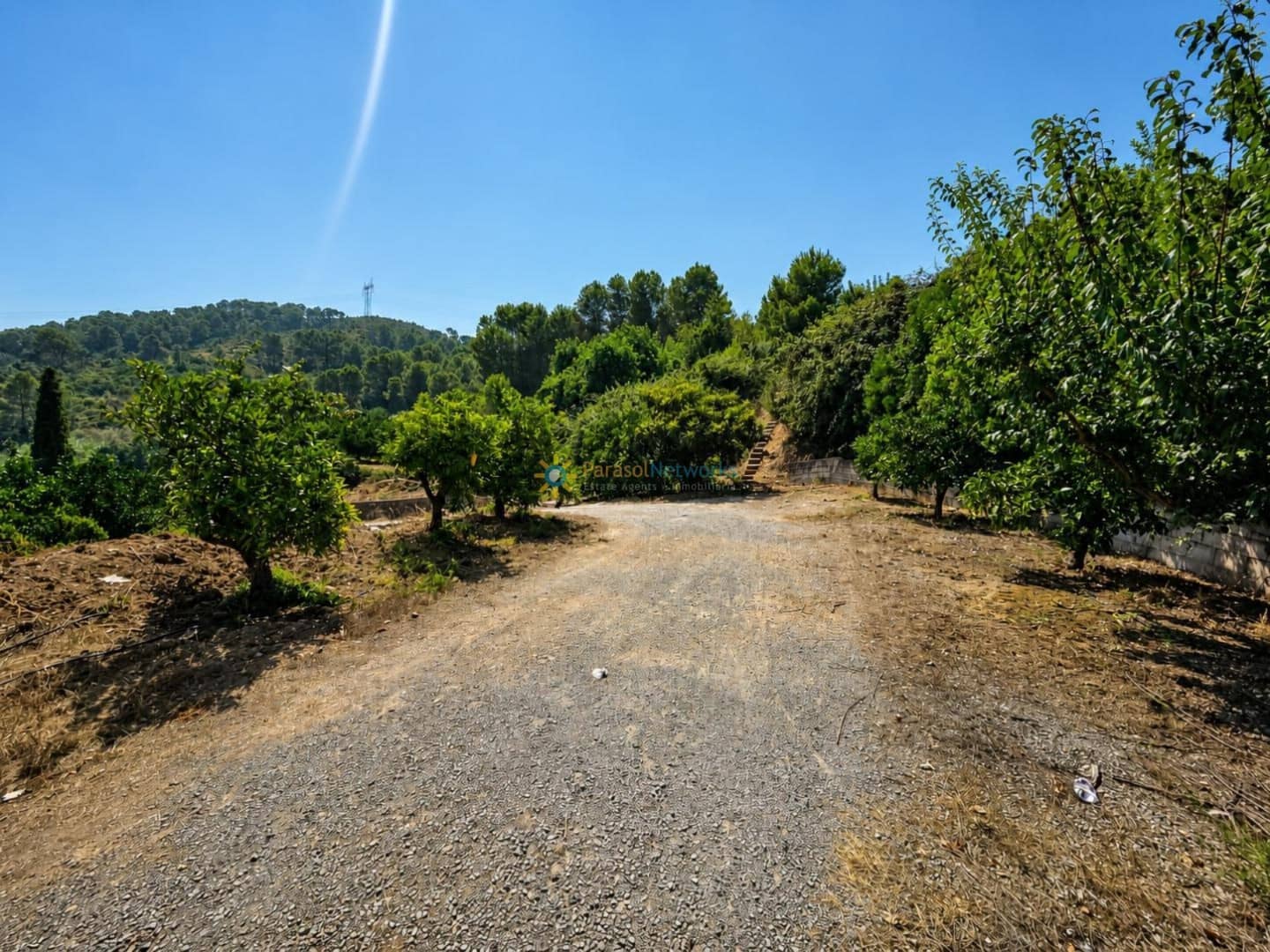 Landgrundstück zu verkaufen in Sellent - 65.000 € (Ref: 10002427)