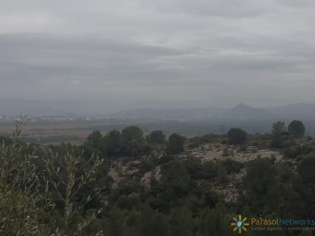 Area Edificabile in vendita in Alberic - 42.000 € (Rif: 10004696)