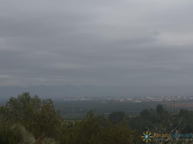 Area Edificabile in vendita in Alberic - 42.000 € (Rif: 10004696)