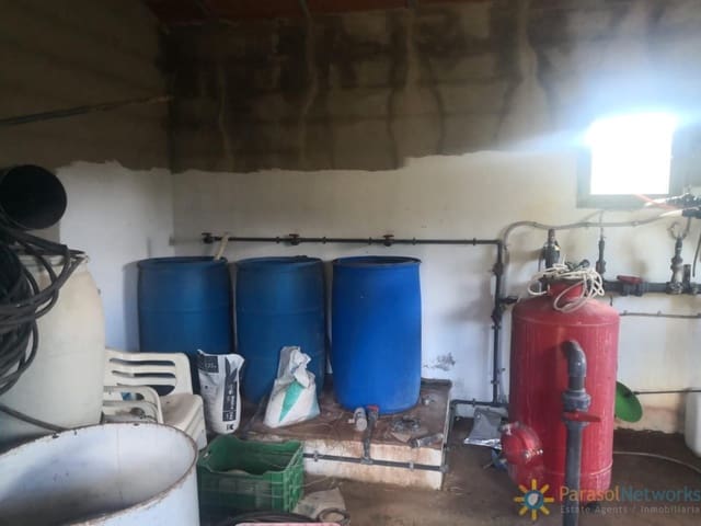 Mark till salu i Sellent - 31 000 € (Ref: 10004769)