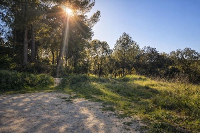 Tomt till salu i Montaverner - 75 000 € (Ref: 10007710)
