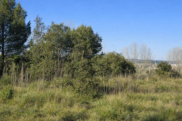 Tomt till salu i Montaverner - 75 000 € (Ref: 10007710)