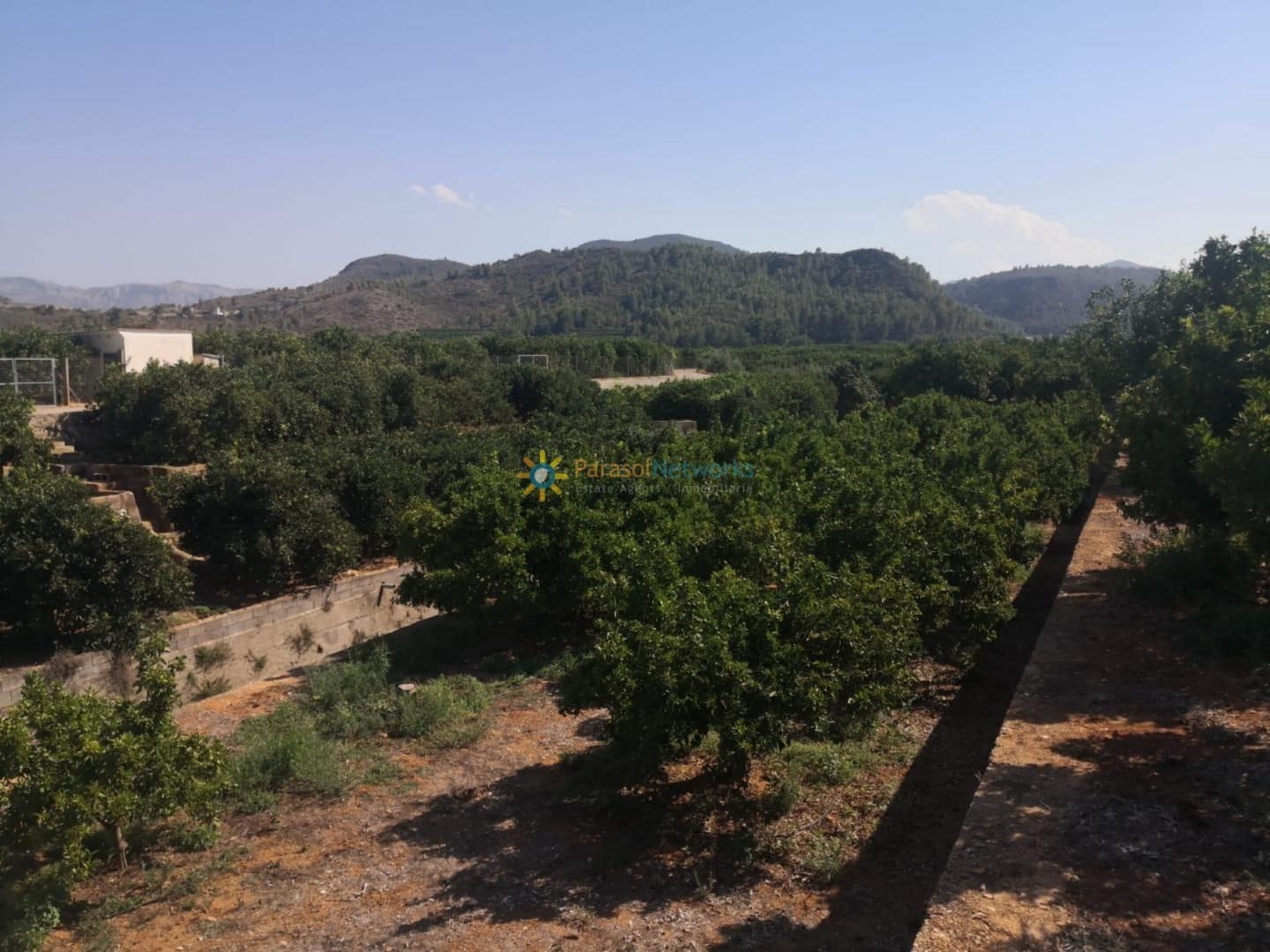 Landgrundstück zu verkaufen in Oliva - 28.000 € (Ref: 10007727)