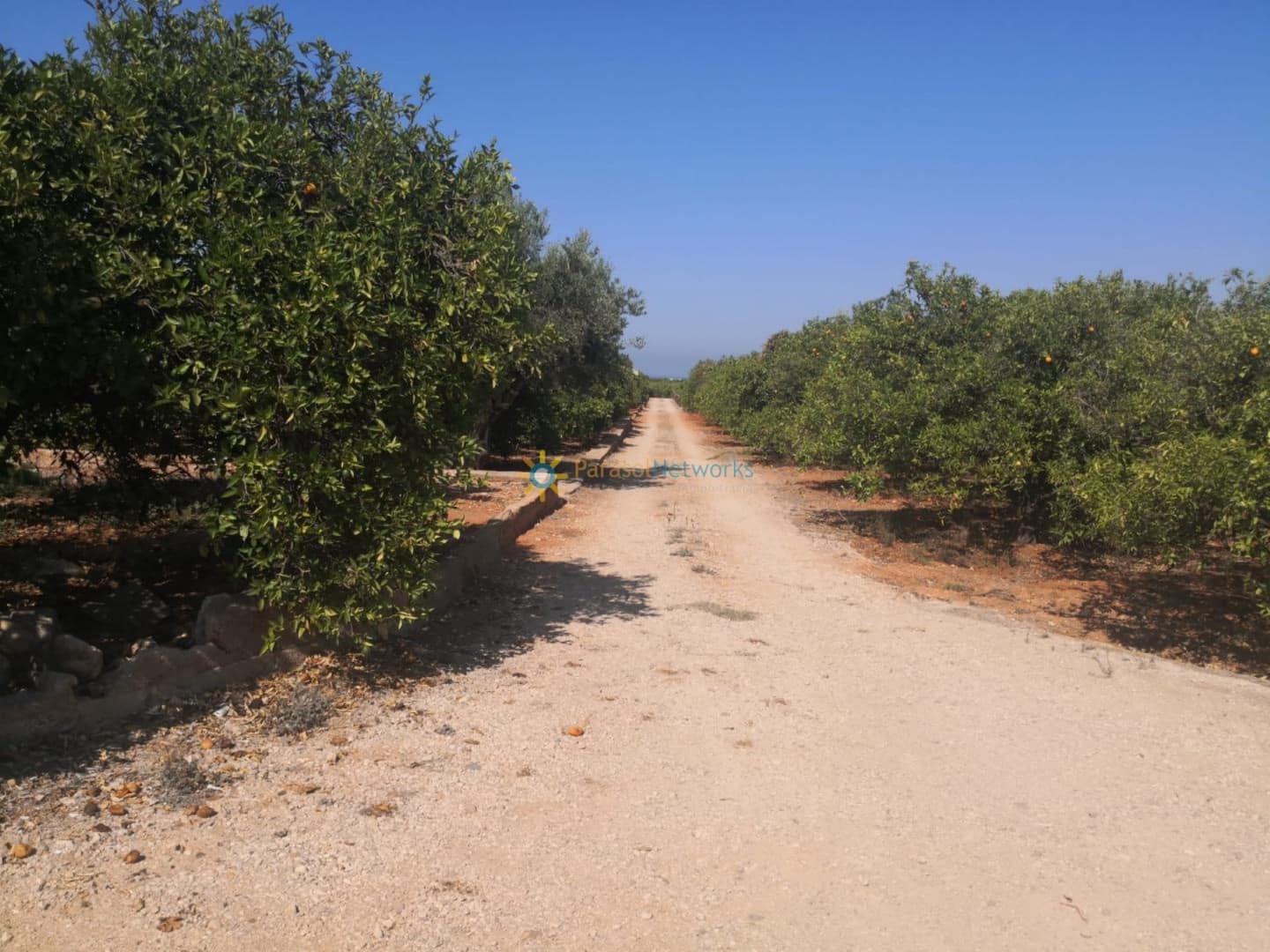 Landgrundstück zu verkaufen in Oliva - 28.000 € (Ref: 10007727)