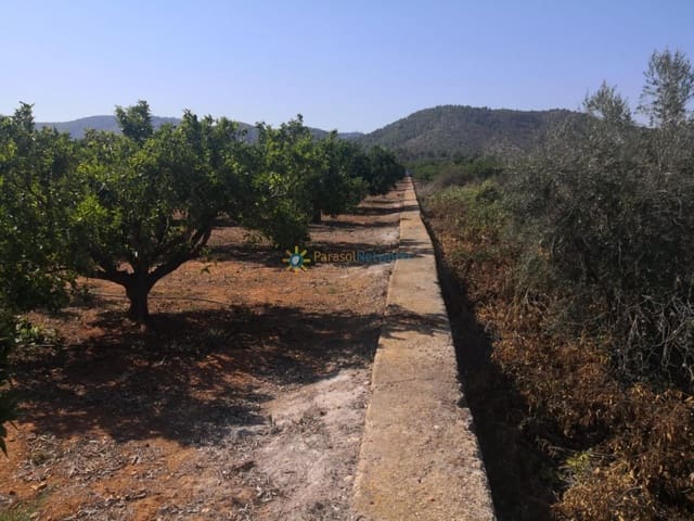 Landgrundstück zu verkaufen in Oliva Pueblo, Oliva - 28.000 € (Ref: 10007727)