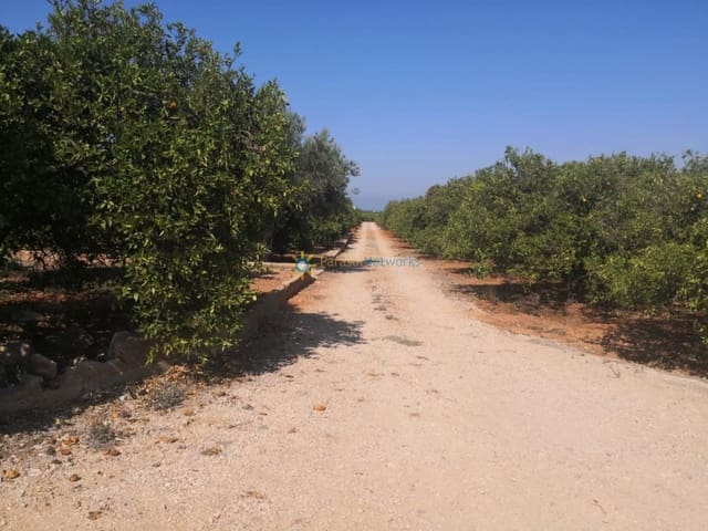 Landgrundstück zu verkaufen in Oliva Pueblo, Oliva - 28.000 € (Ref: 10007727)