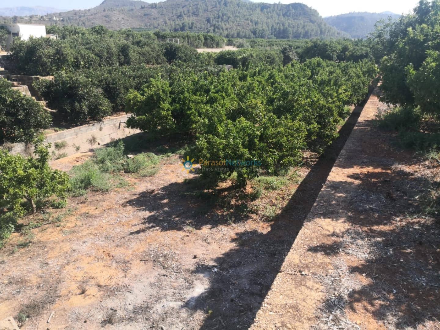 Landgrundstück zu verkaufen in Oliva - 28.000 € (Ref: 10007727)