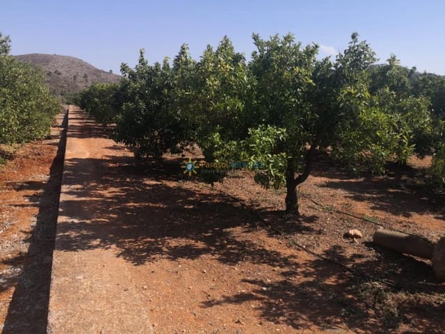 Landgrundstück zu verkaufen in Oliva Pueblo, Oliva - 28.000 € (Ref: 10007727)
