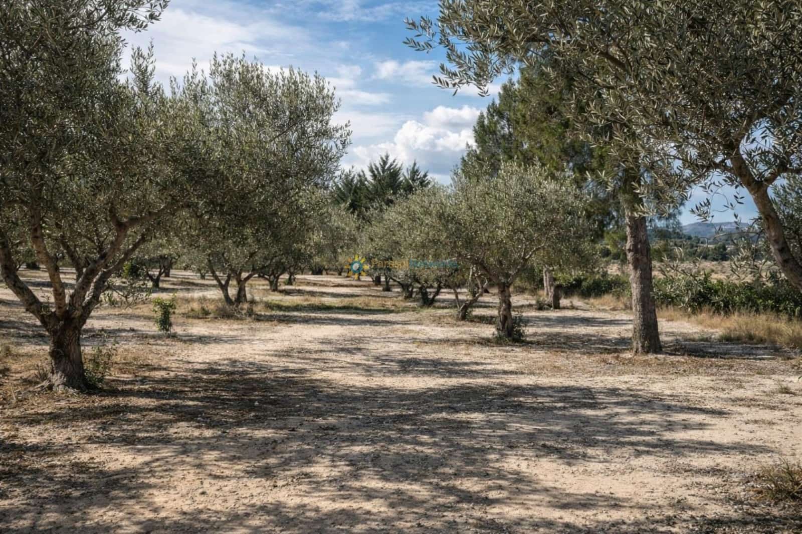 3 Zimmer Finca/Landgut zu verkaufen in Bufali mit Pool Garage - 110.000 € (Ref: 10008036)
