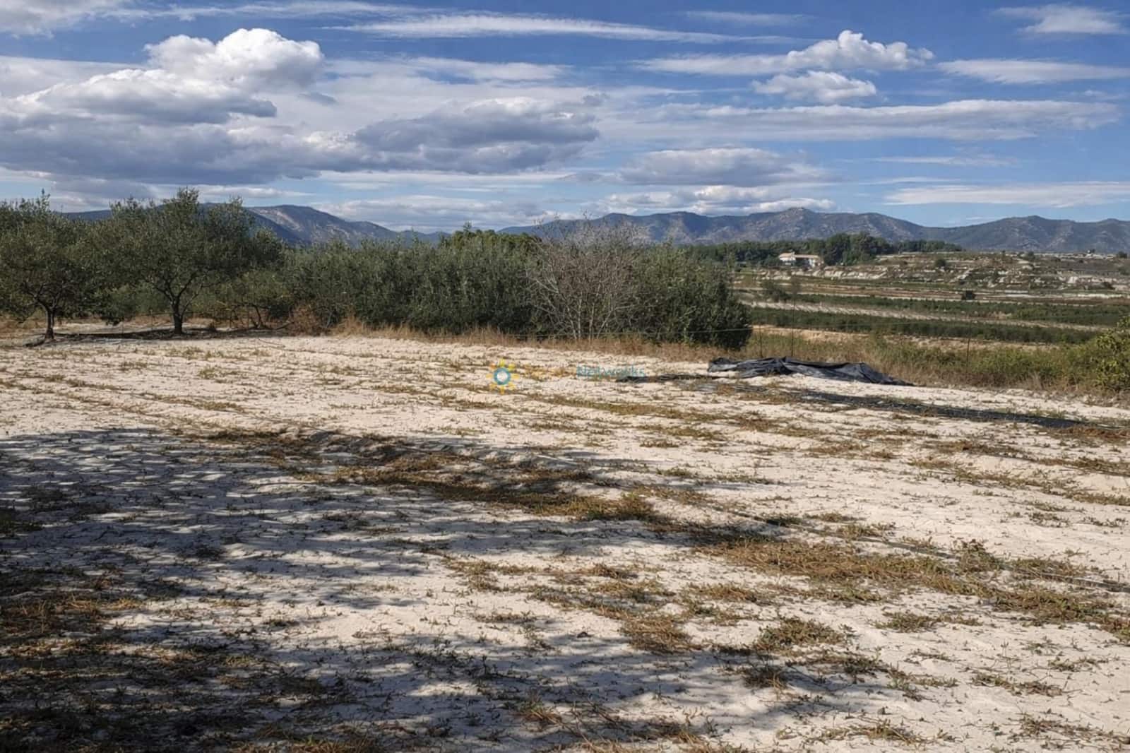 3 Zimmer Finca/Landgut zu verkaufen in Bufali mit Pool Garage - 110.000 € (Ref: 10008036)