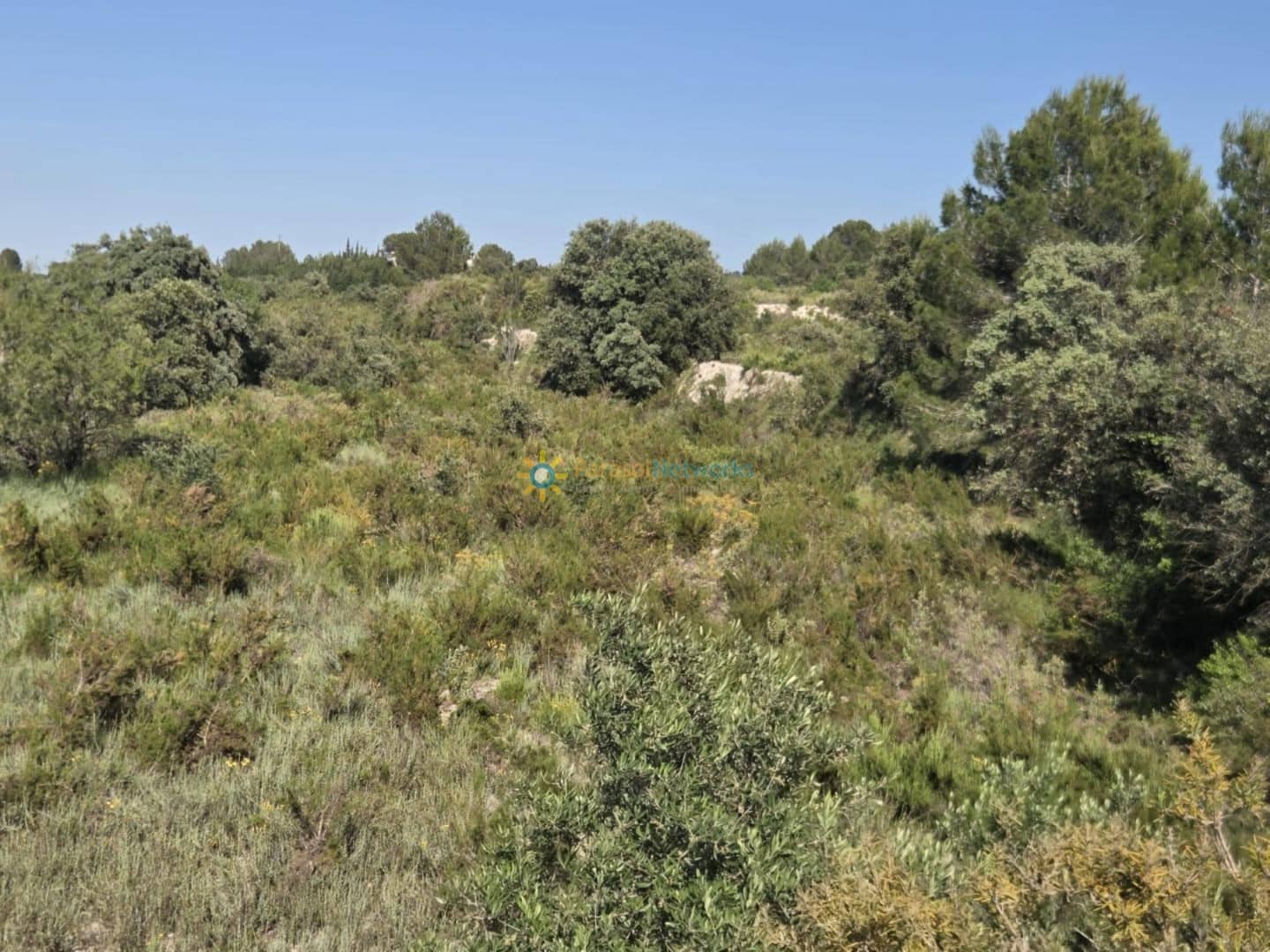 Undeveloped Land for sale in Palomar - € 48,000 (Ref: 10009334)