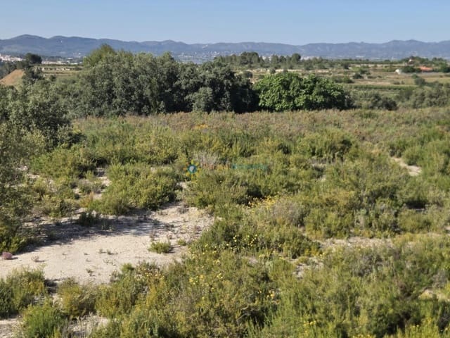 Undeveloped Land for sale in Palomar - € 48,000 (Ref: 10009334)