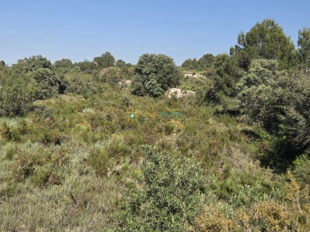 Undeveloped Land for sale in Palomar - € 48,000 (Ref: 10009334)