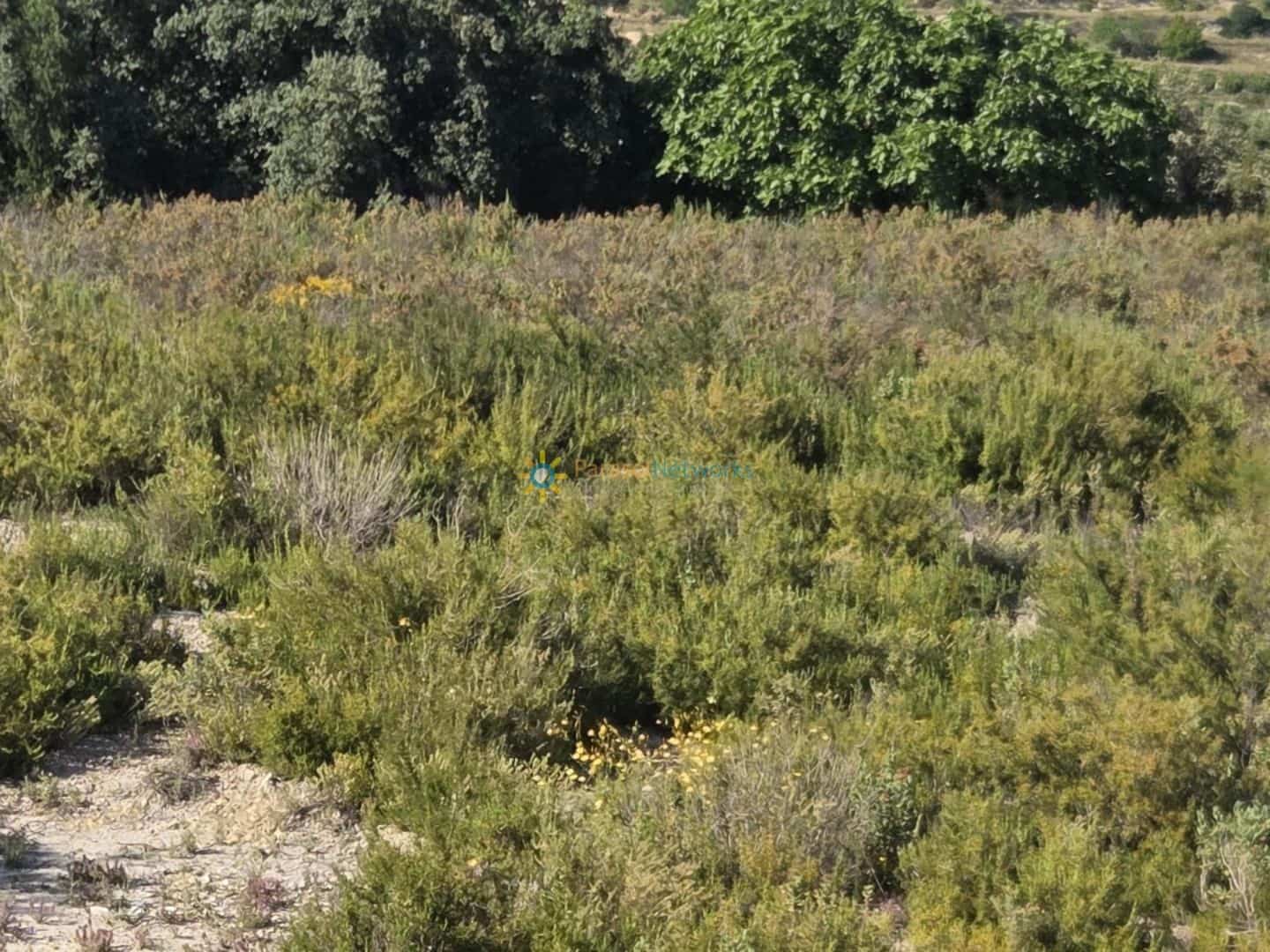 Undeveloped Land for sale in Palomar - € 48,000 (Ref: 10009334)