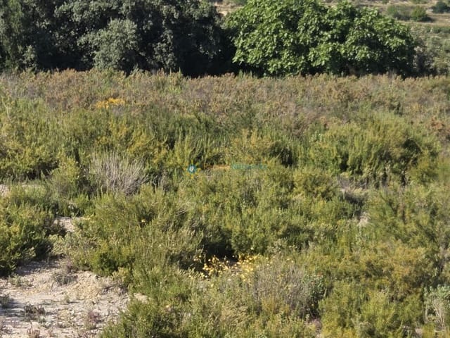 Undeveloped Land for sale in Palomar - € 48,000 (Ref: 10009334)