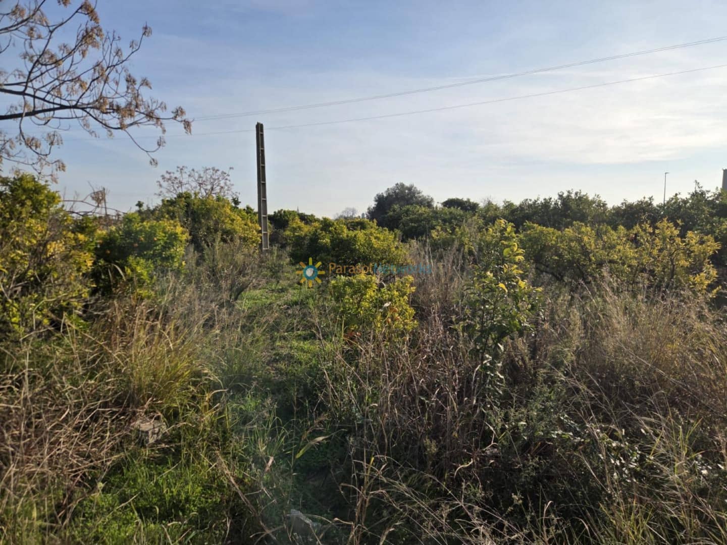 Building Plot for sale in Rafelcofer - € 8,500 (Ref: 10009510)