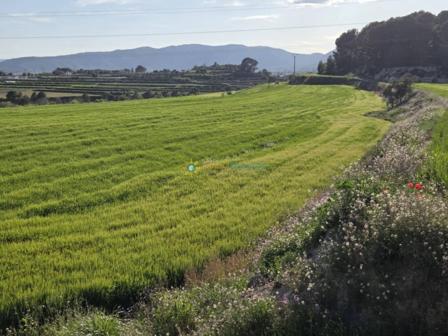 Mark till salu i L'Olleria - 70 000 € (Ref: 10009576)