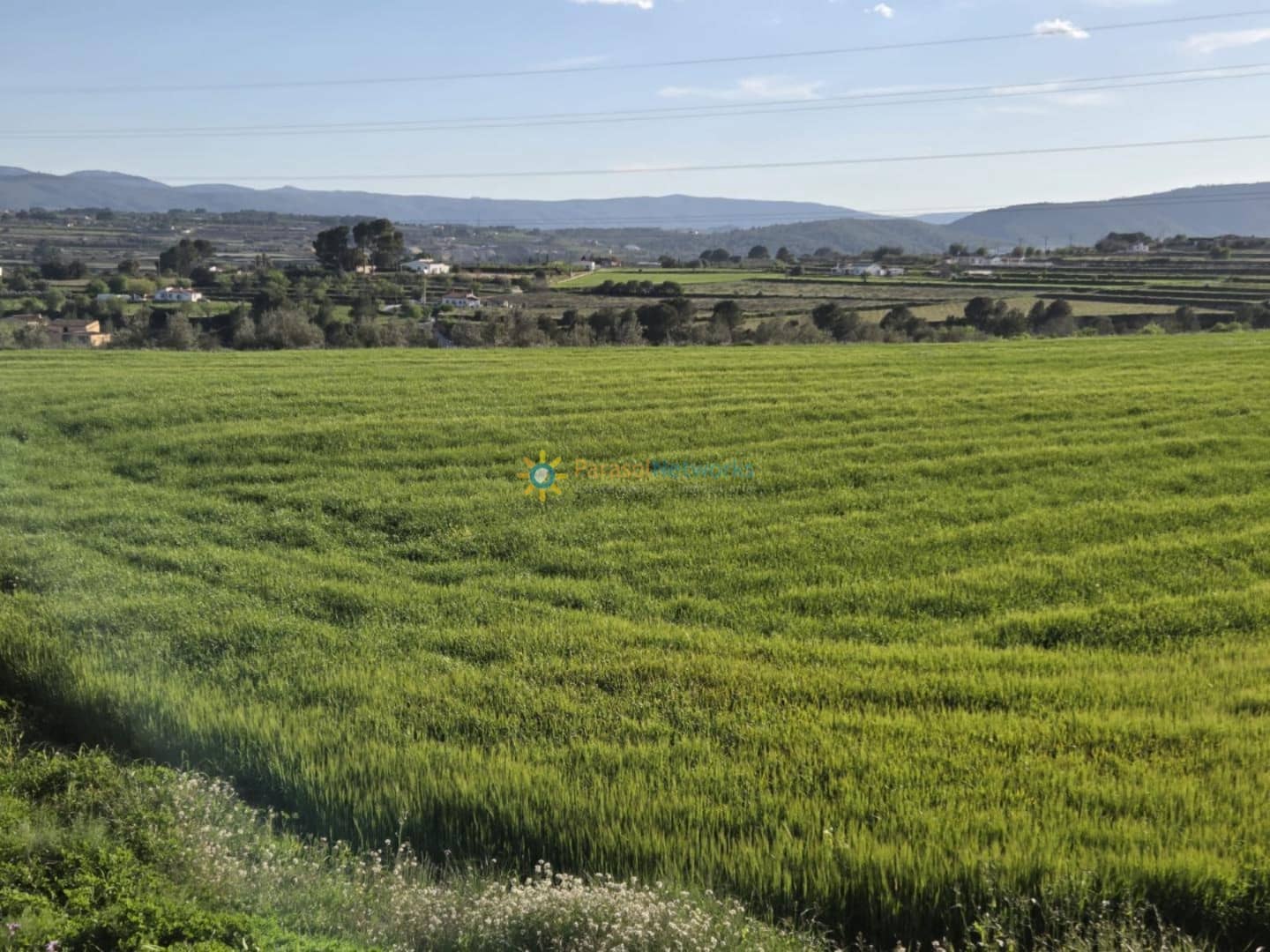 Mark till salu i L'Olleria - 70 000 € (Ref: 10009576)