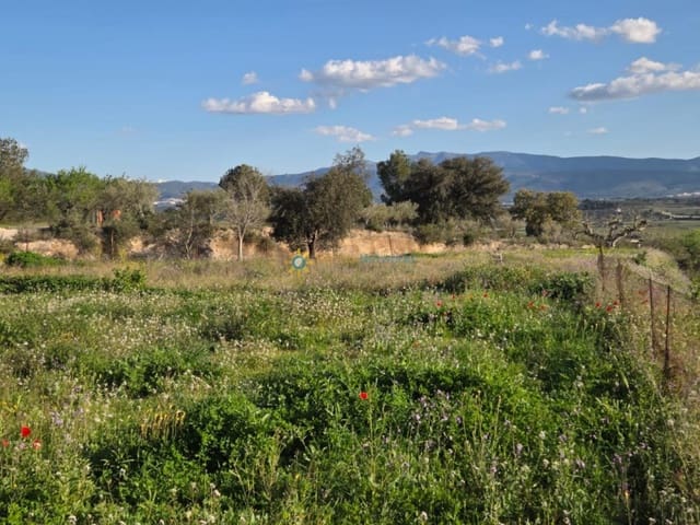 Mark till salu i L'Olleria - 70 000 € (Ref: 10009576)