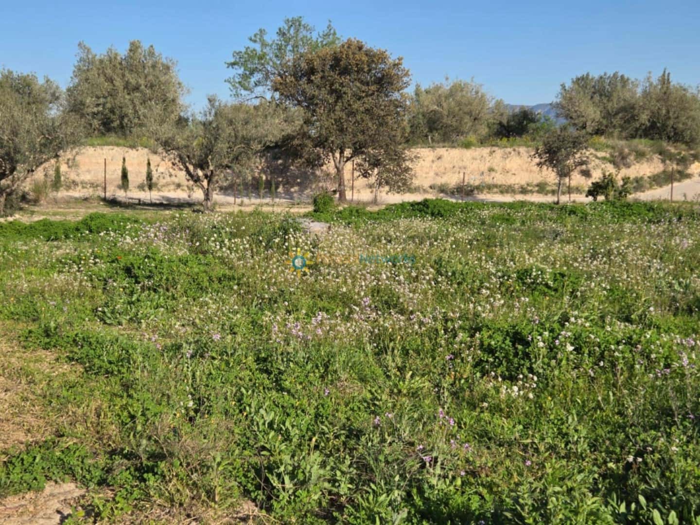 Mark till salu i L'Olleria - 70 000 € (Ref: 10009576)