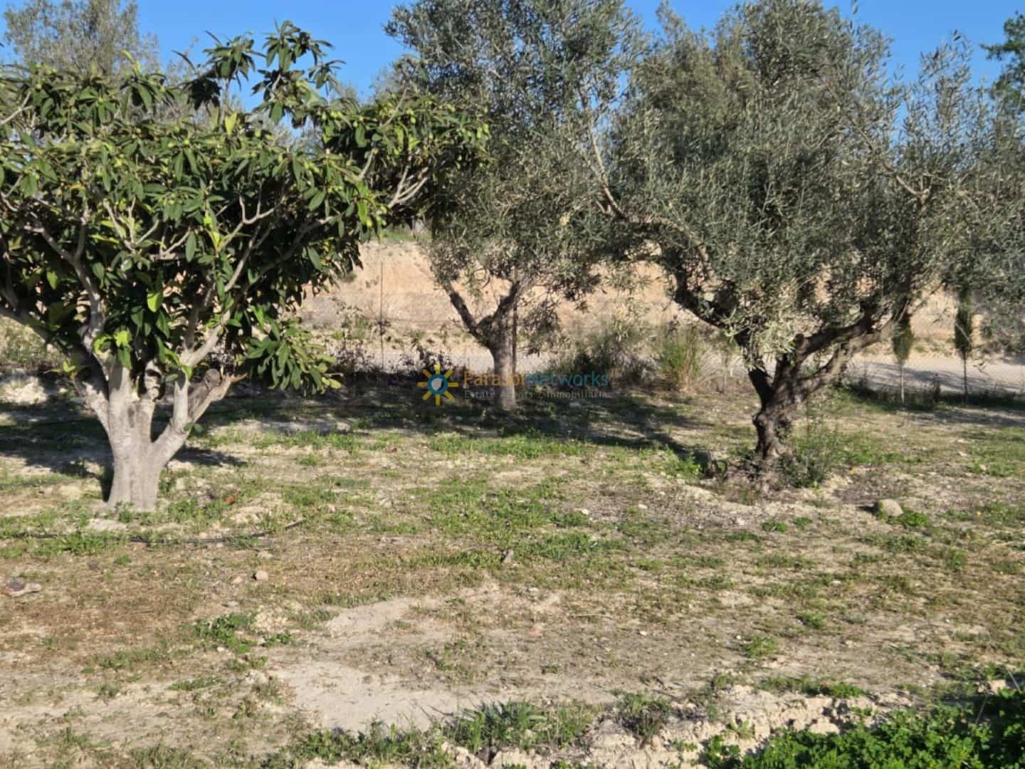 Mark till salu i L'Olleria - 70 000 € (Ref: 10009576)
