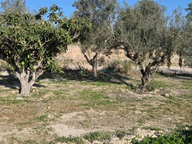 Mark till salu i L'Olleria - 70 000 € (Ref: 10009576)