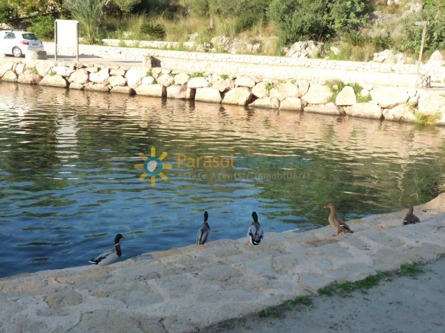 Bauplatz zu verkaufen in Oliva - 120.000 € (Ref: 10009606)