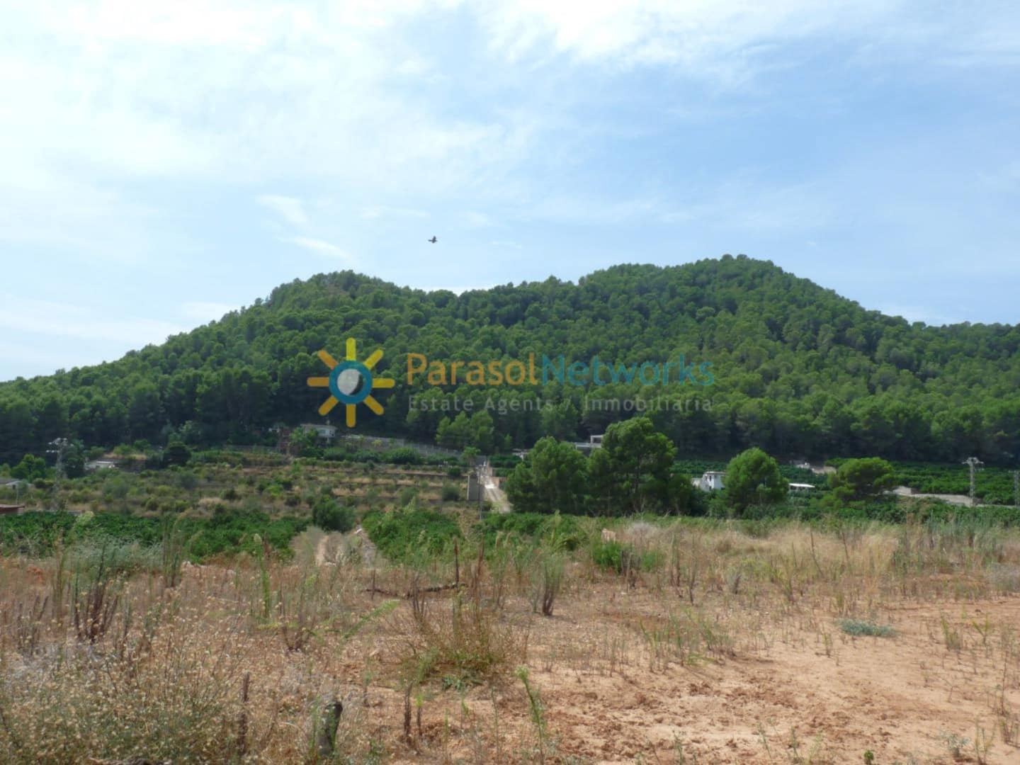 Building Plot for sale in Real de Gandia - € 159,000 (Ref: 10009612)